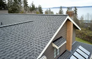 Dark gray and light black shingle roofs installed by Paramount Builders, featuring precisionist lines and shapes with wavy resin sheets in Vancouver school style