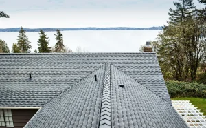 Dark gray and light black shingle roofs installed by Paramount Builders, featuring precisionist lines and shapes with wavy resin sheets in Vancouver school style